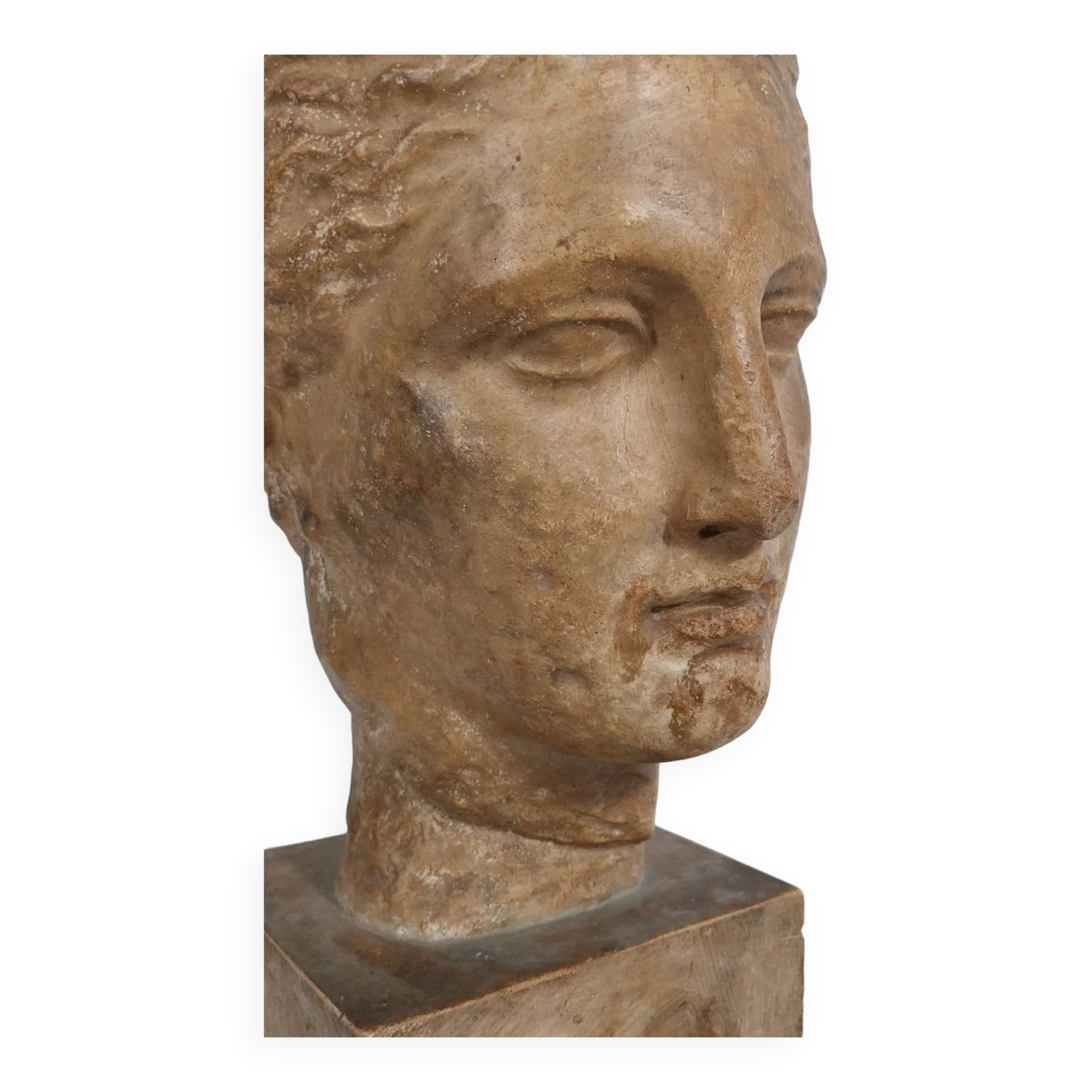 Plaster bust