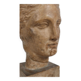 Plaster bust