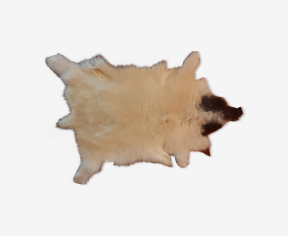 Peau de mouton