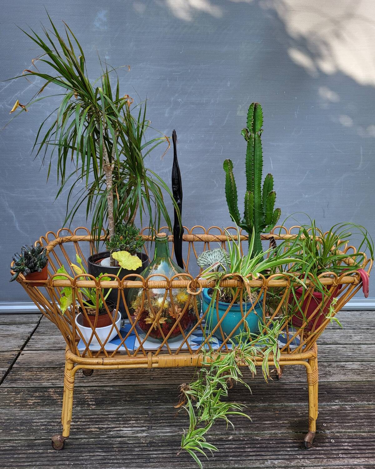 Nursery basket for green plants