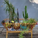 Nursery basket for green plants