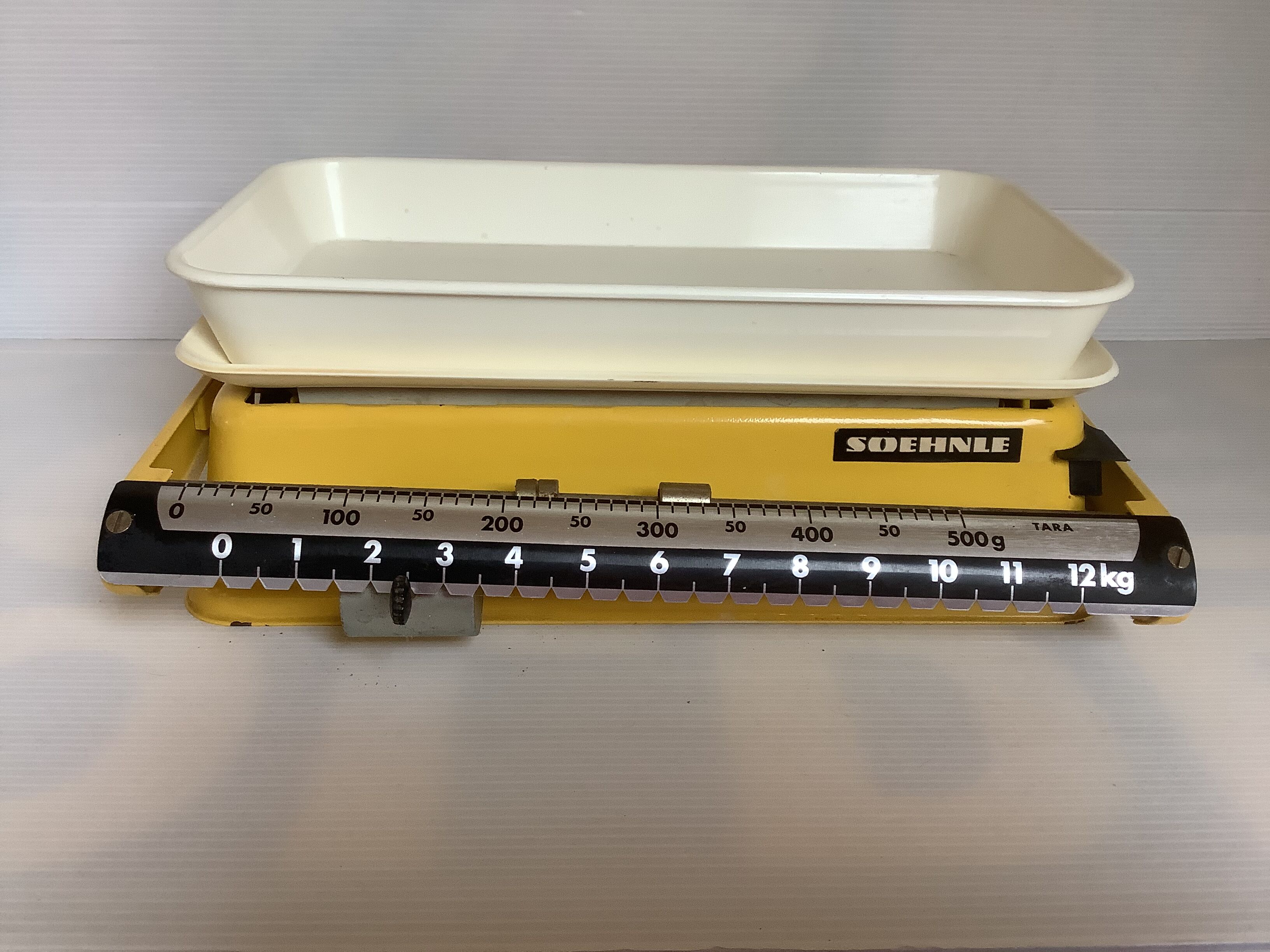 Old yellow scale