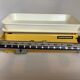 Old yellow scale