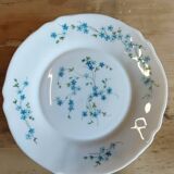 Arcopal plates