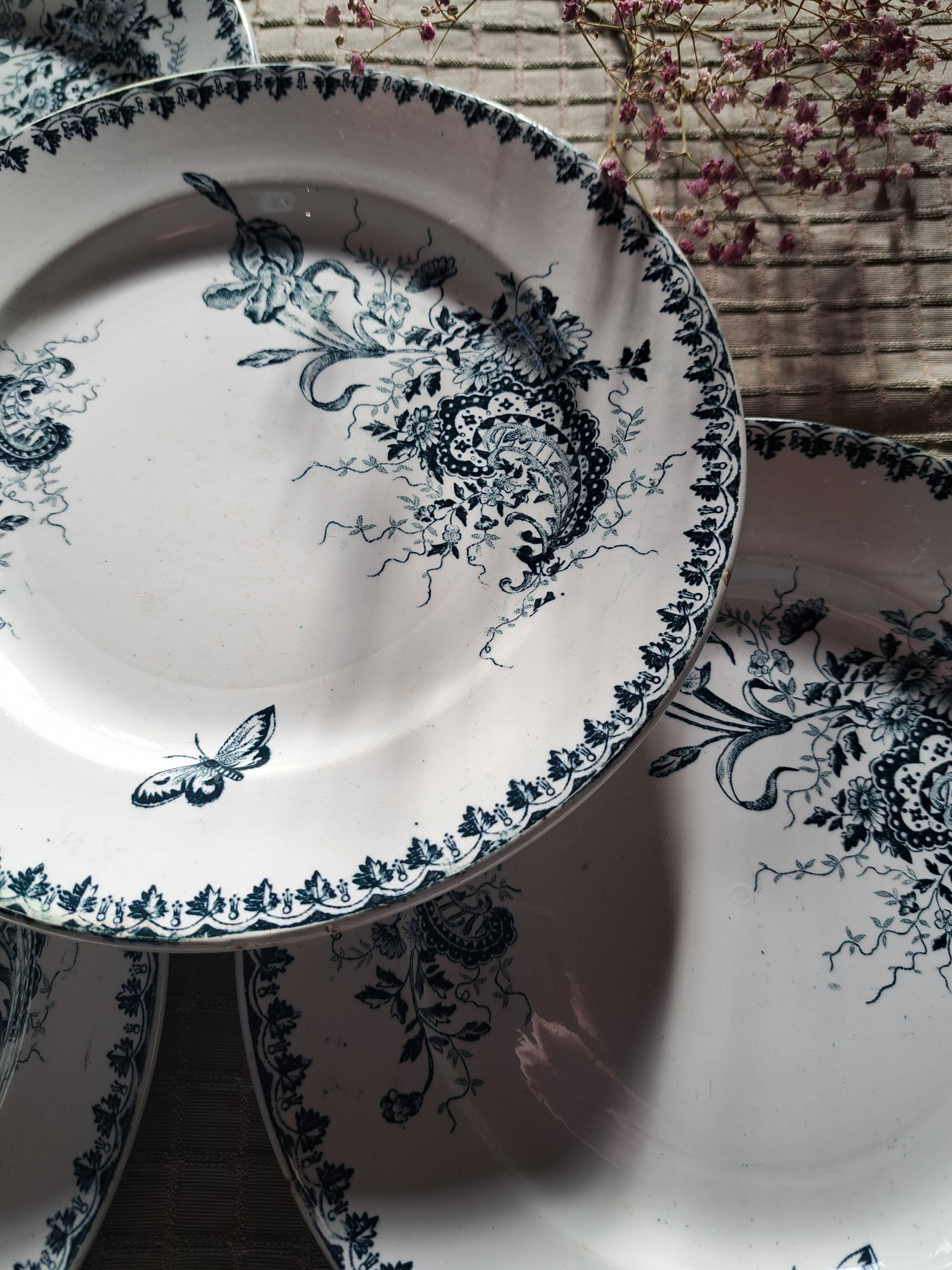 Ste Amandinoise Louis XV iron earth blue green dinner plates