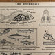 Hatier educational poster 1950