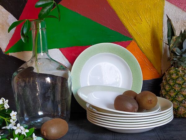 Huit assiettes faïence de salins années 50