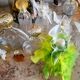 Lots de bouteilles Parfum de collections