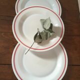 Flat arcopal plates