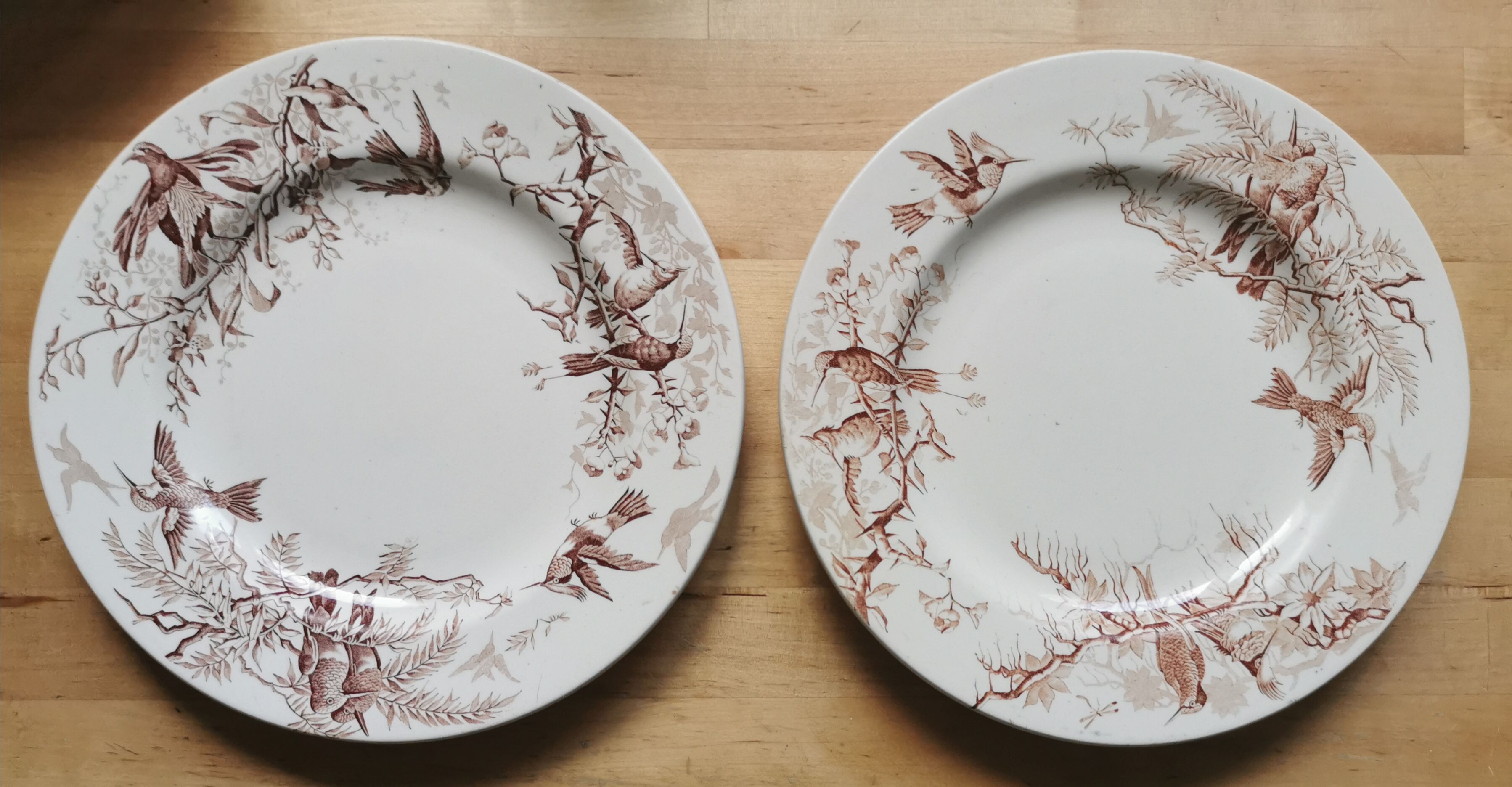 Lot of 8 Colibri luneville plates
