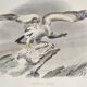 Ornithological Plate Buffon 1840 "Griffon Vulture & Royal Vulture"