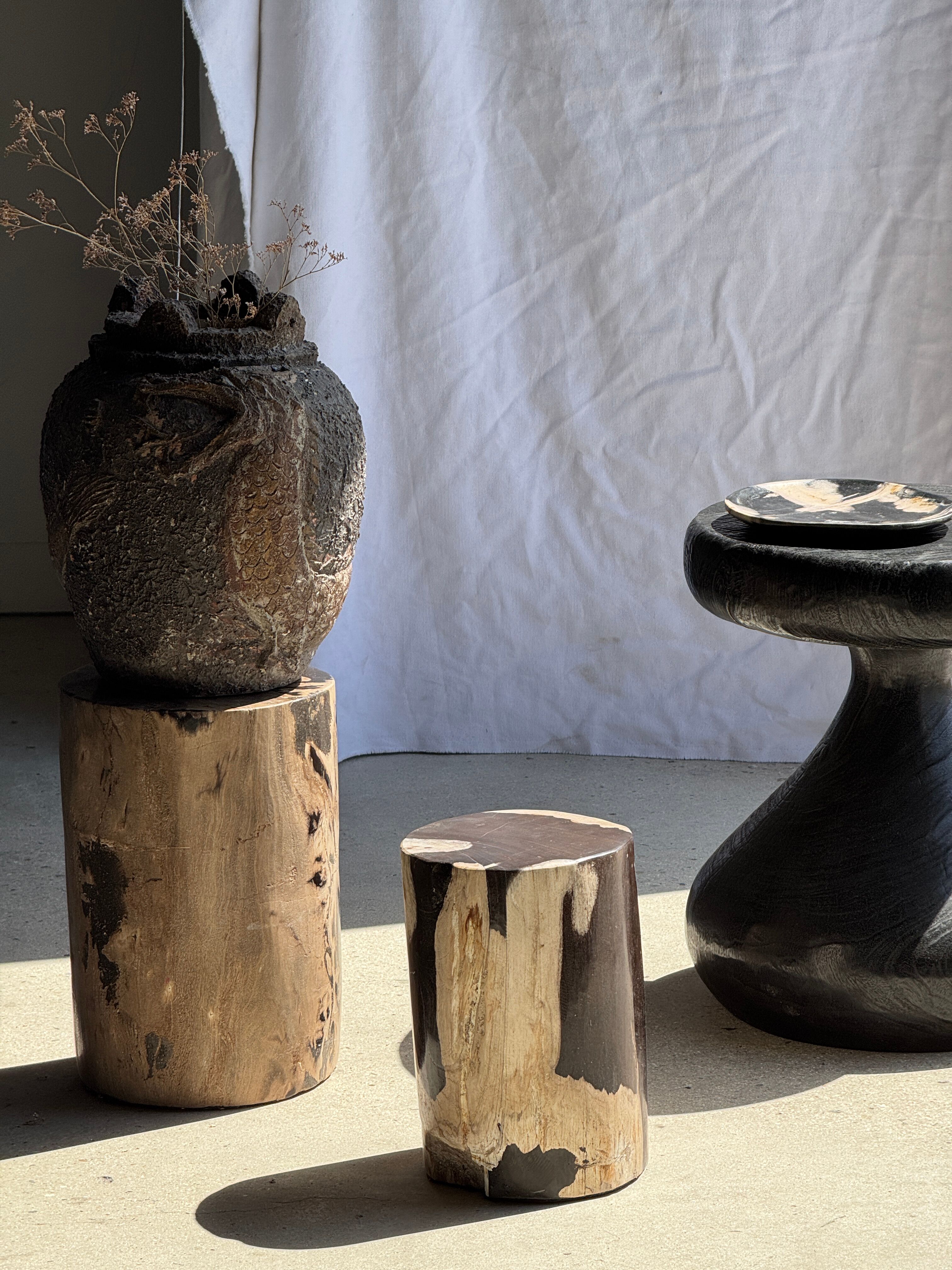 Brown and black petrified wood side table H35 D27 - 3333