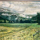 Paysage de forêt