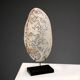 Perforated shell hand-decorated on a wooden base