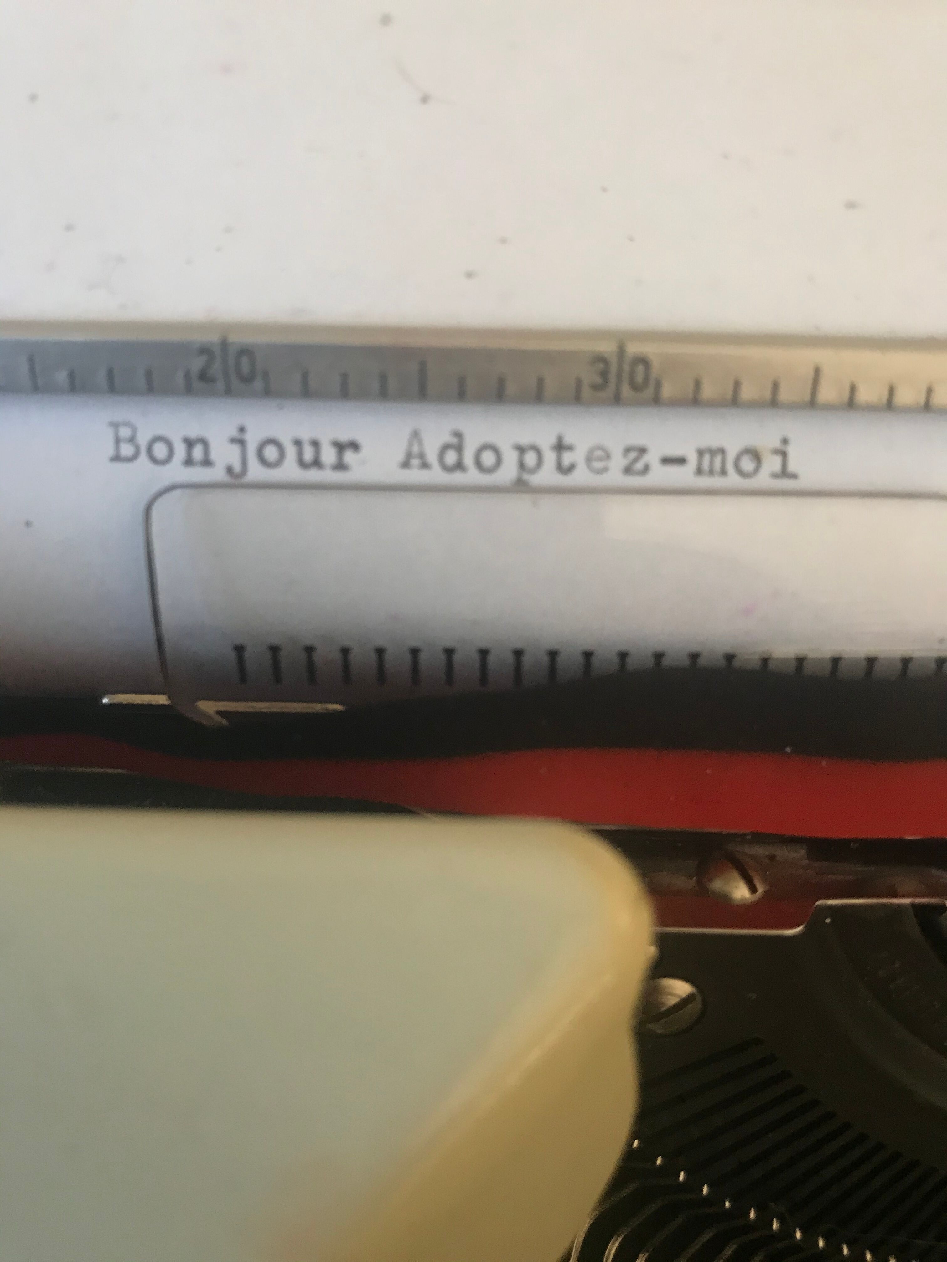 Typewriter Olympia 66