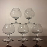 5 verres à dégustation Baccarat