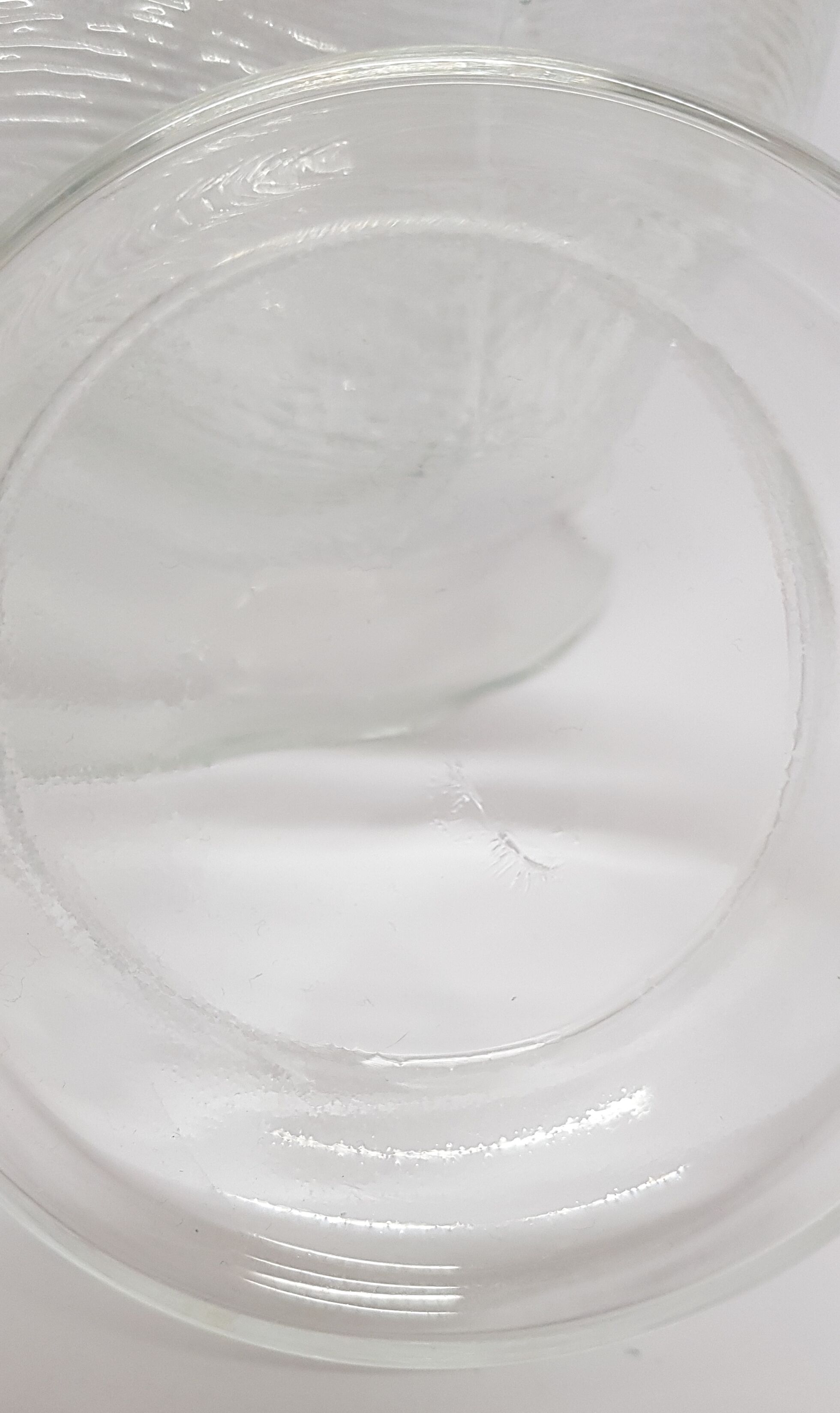 Bear with hat cookie jar