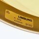 XL Mid-Century Glass Ceiling Light from Limburg, Germany, 1960s/1970s