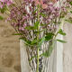 Crystal vase from Arques