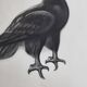 Print after Georges Guyot, "Aigle Royal", 1937, framed, 41 x 32 cm