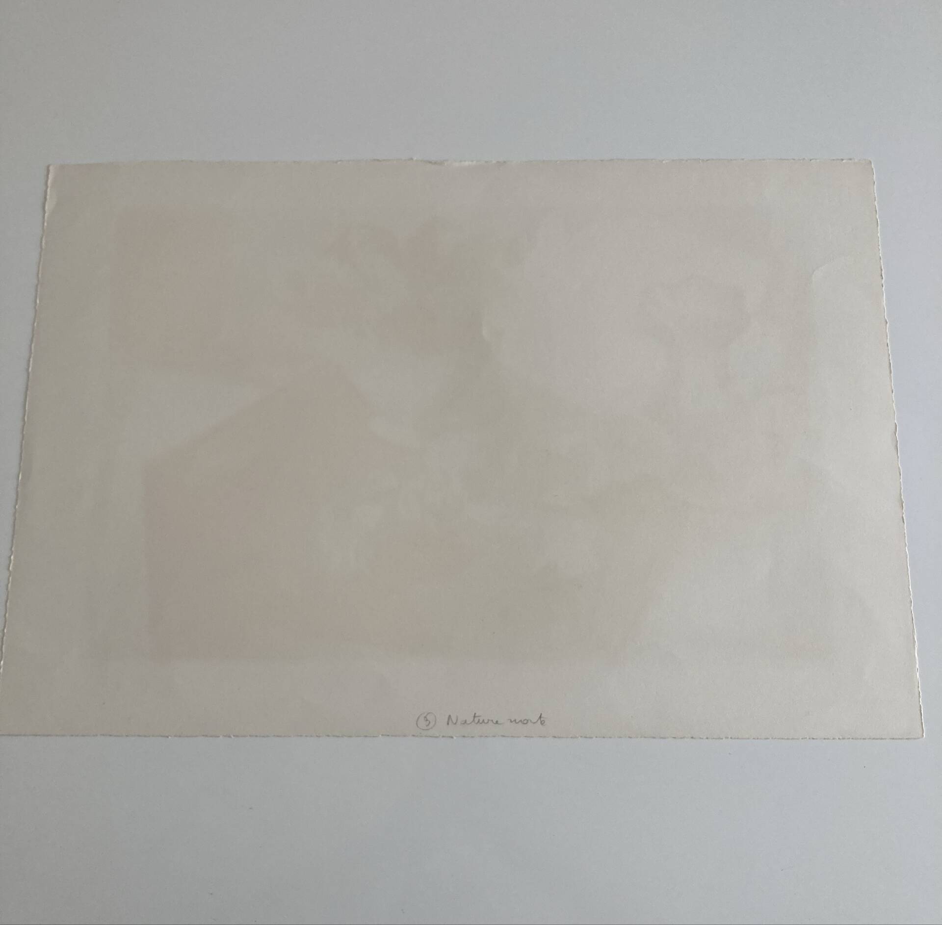Lithographie signée Georges Lambert - Nature Morte - 1954