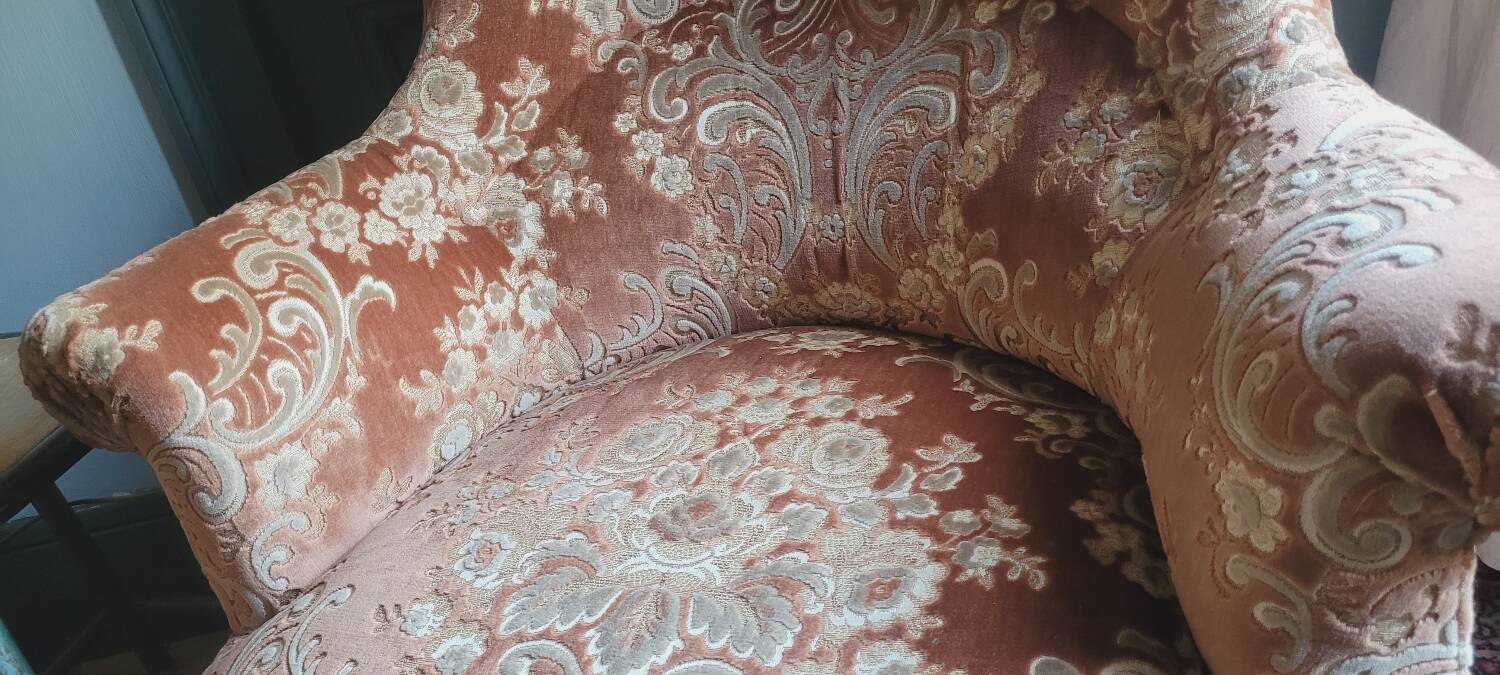 Velvet toad armchair