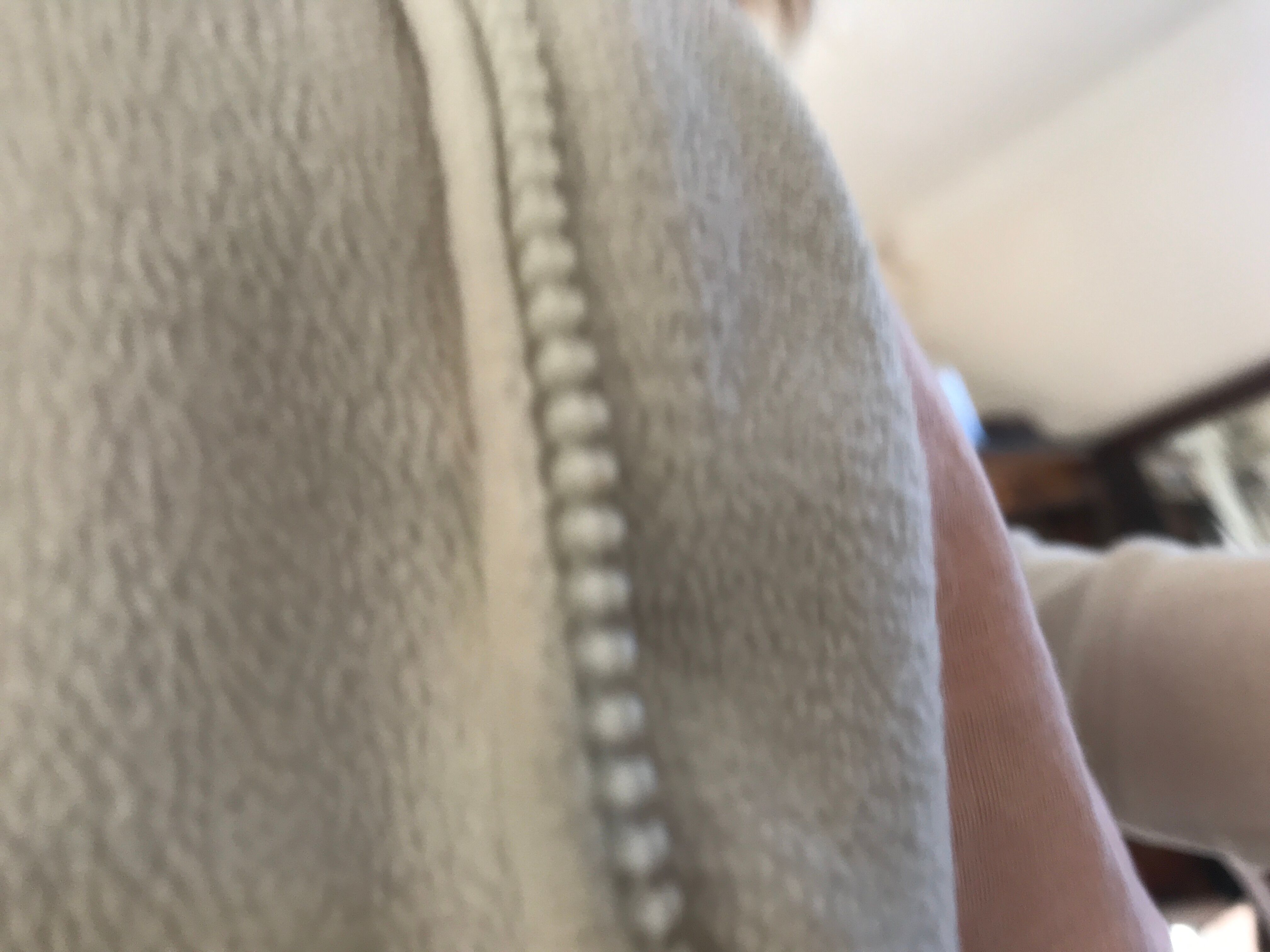 Six Salins oyster plates