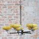 Art Deco Chandelier in Chrome and Beech, Czech, 1920s