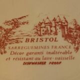 Set of 6 Sarreguemines Bristol flat plates