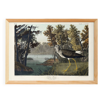 Poster about the Yellow-legged Knight, based on an old engraving