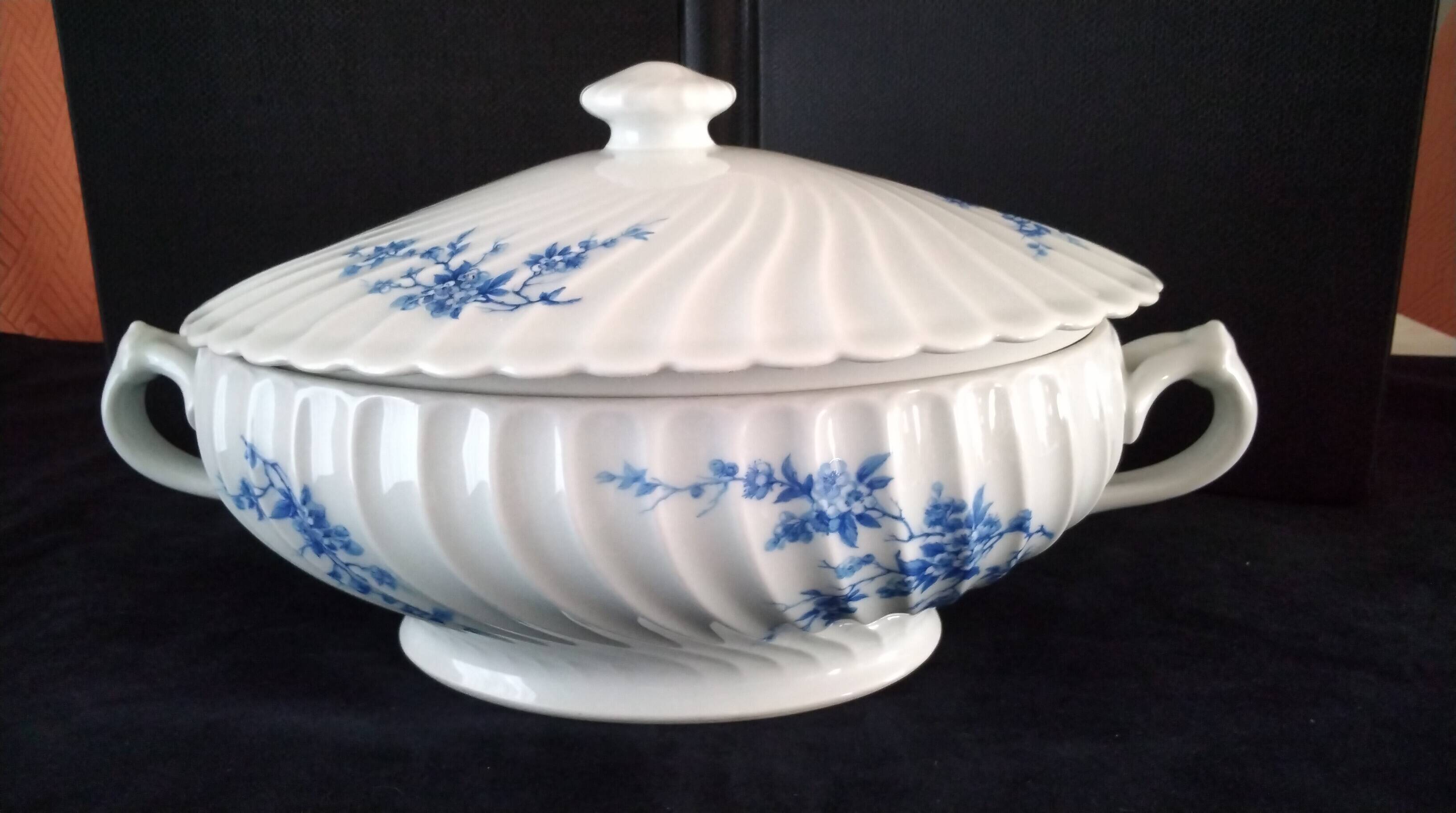 Haviland Limoges porcelain soup tureen