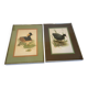 Paire d’illustrations d’oiseaux encadrés