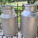 set of 2 old aluminum milk jugs