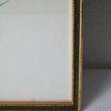 Lithographie oiseaux