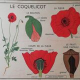 Old Rossignol school poster