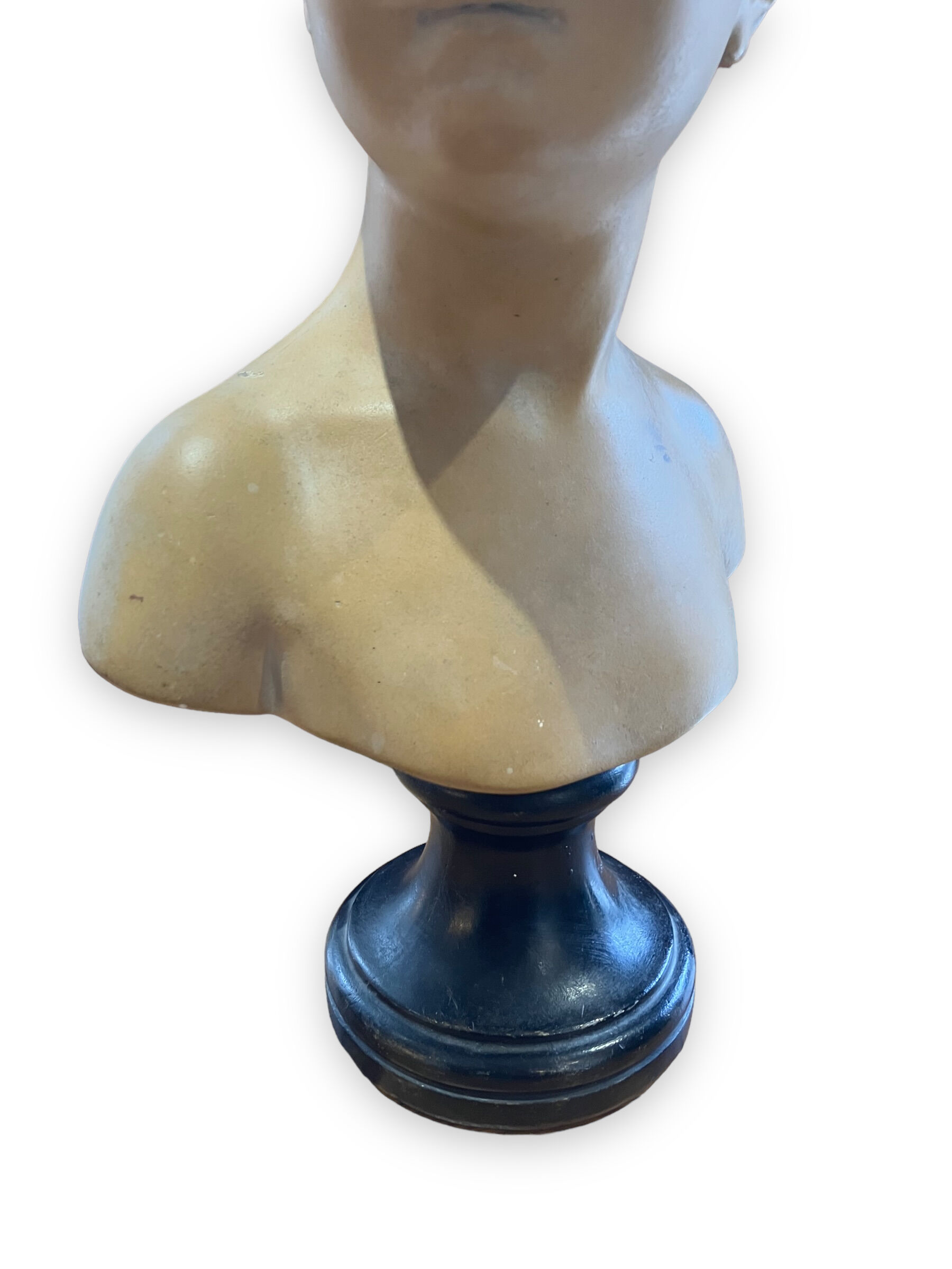 Bust of louise brongniart in patinated plaster after houdon