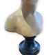 Bust of louise brongniart in patinated plaster after houdon