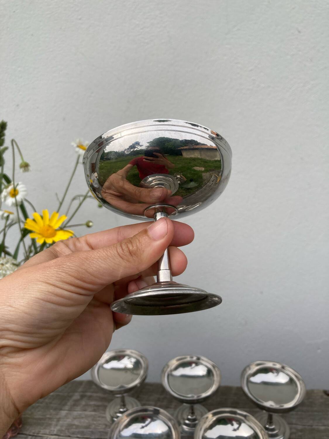 6 Rémy Letang stainless steel bowls