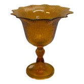 Amber Glass Cup