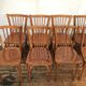 Rare series of 50 chairs Baumann fanett vintage design 1950 1960