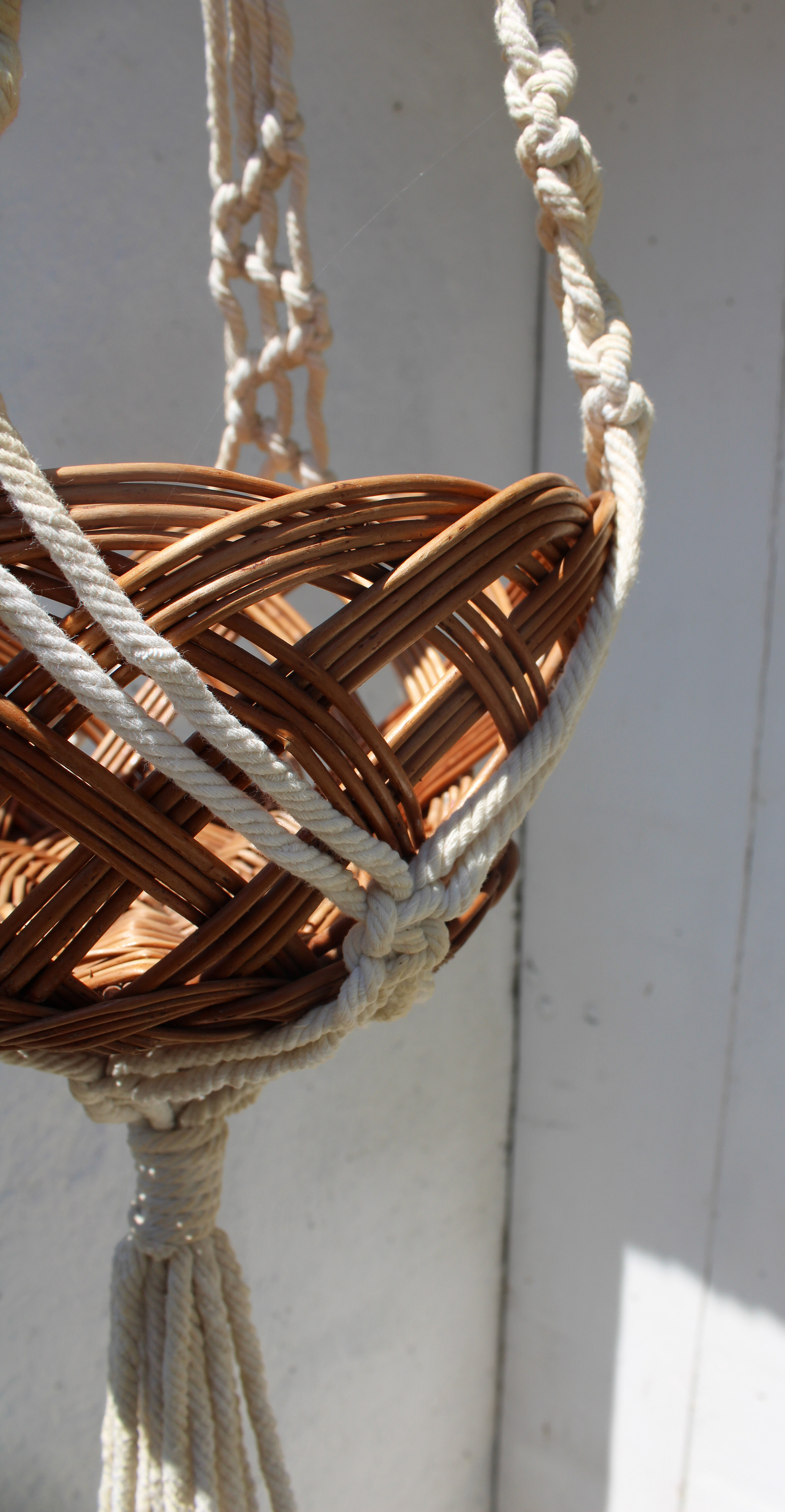 Hanging plant holders in macramé and rattan