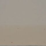 Paul COLLOMB: Dancer on a green background, original signed lithograph.