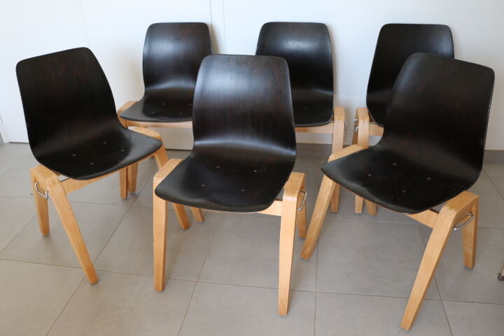 6 adult chairs pagholz wooden legs