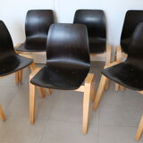 6 adult chairs pagholz wooden legs