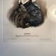 Painting "Winter" by Émile Lassalle, gilded frame
