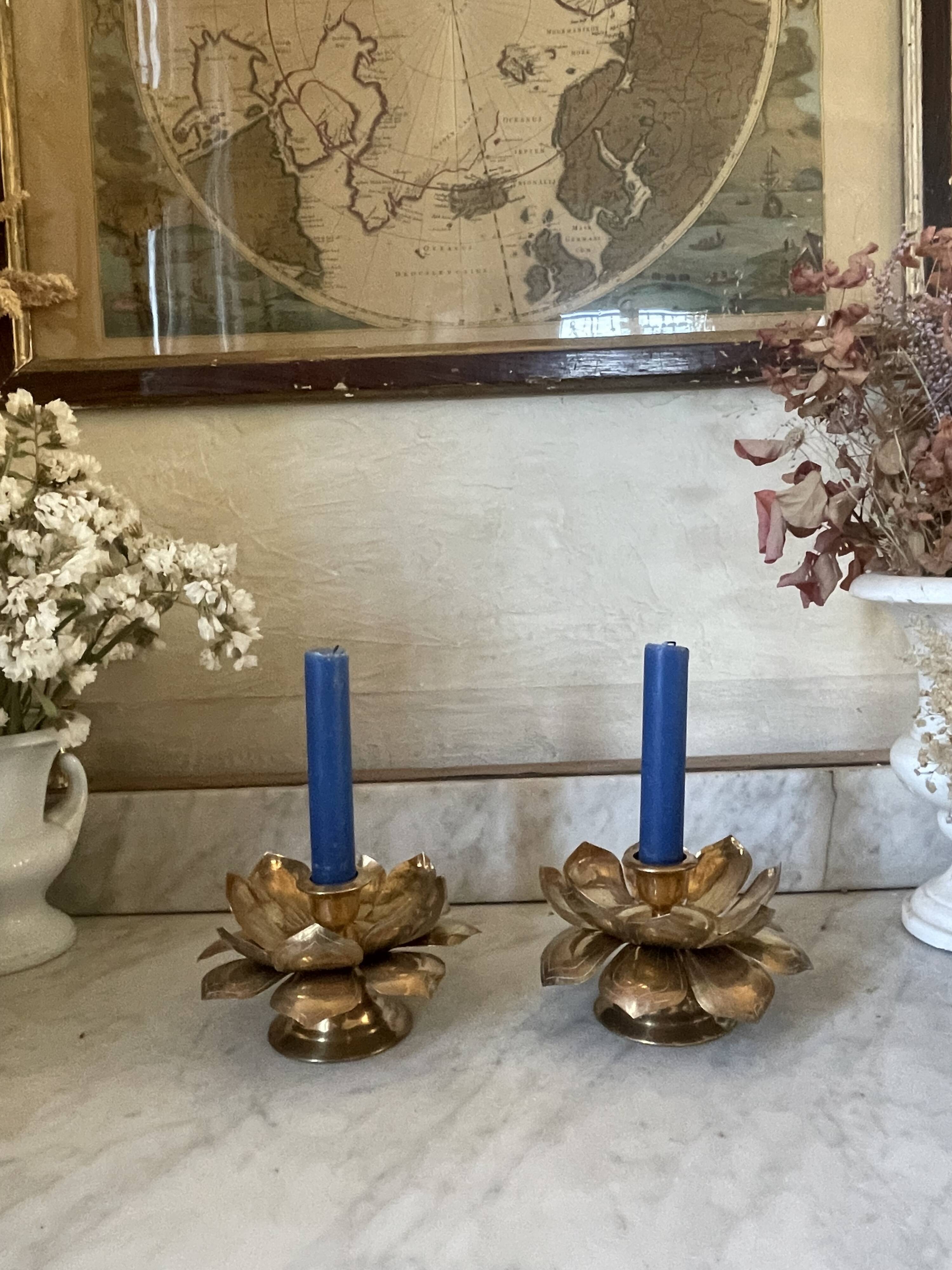 Lotus brass candlestick pair