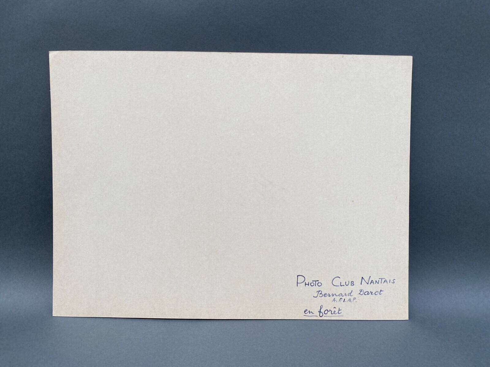 Silver gelatin photograph by Bernard Darot, 20th century, AFIAP Photo Club Nantais, in the forest