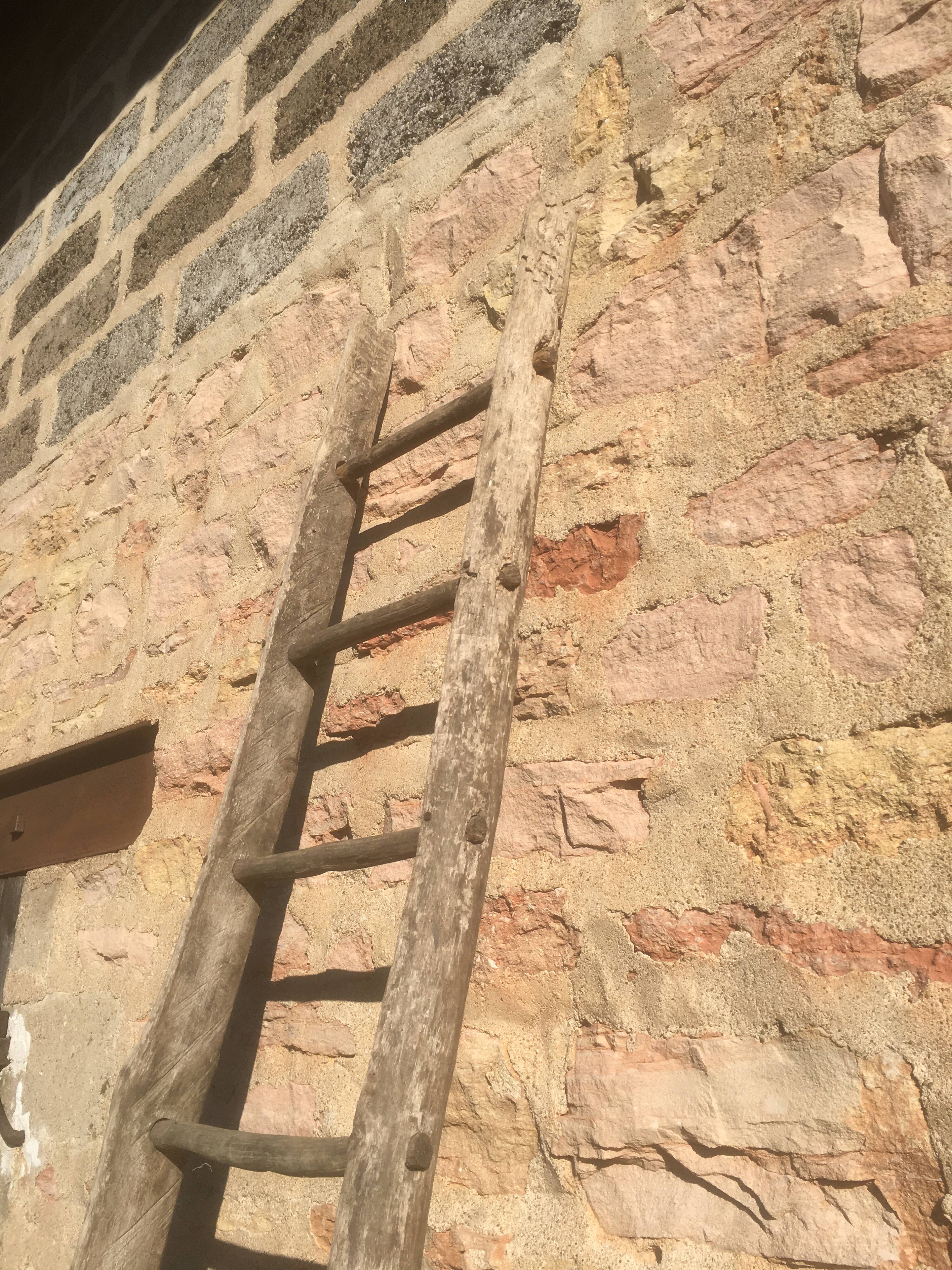 Acacia farm ladder 3/40s