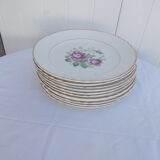 Lot 11 flat plates moulin des loups