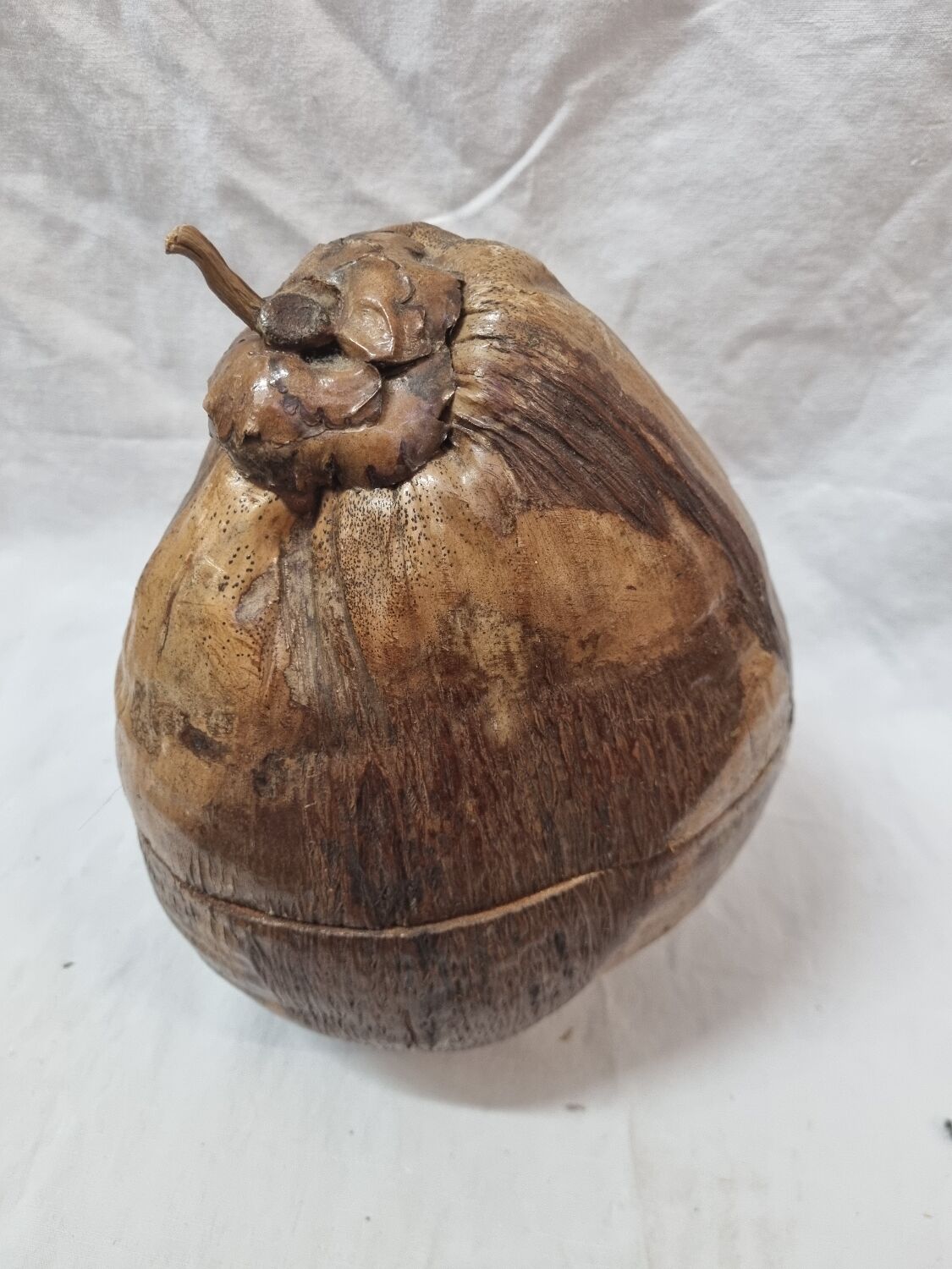 Ice bucket, stuffed coconut